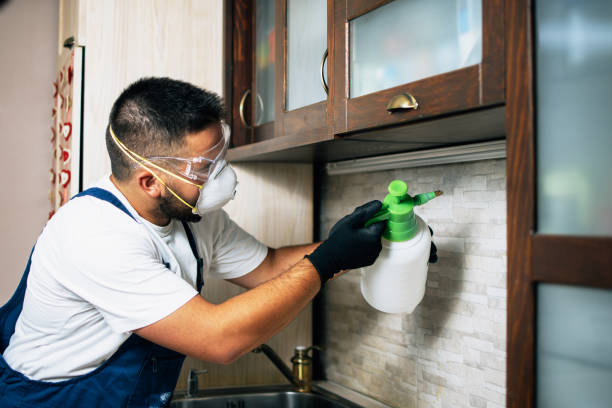 Best Wildlife Control Services  in Clayton, NM