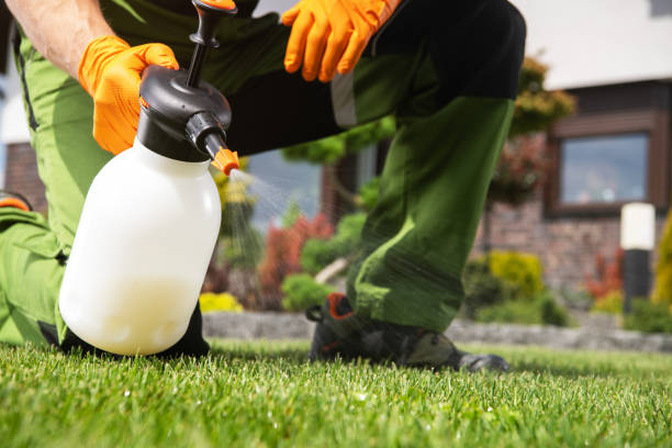 Pest Control Cost in Clayton, NM