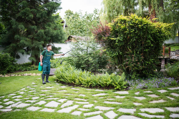 Best Affordable Pest Control Services  in Clayton, NM