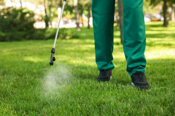 Best Wasp Removal Services  in Clayton, NM