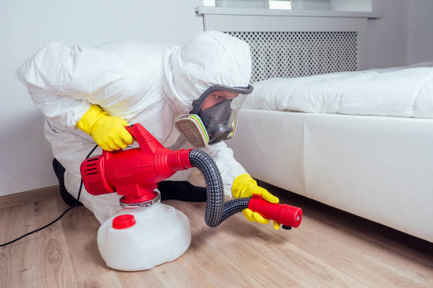 Best Best Pest Control Companies  in Clayton, NM
