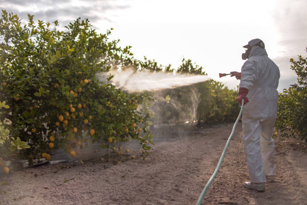 Best Cockroach Control Services  in Clayton, NM