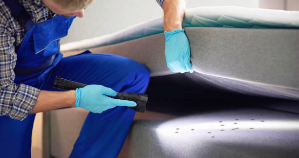 Best Mosquito Control Services  in Clayton, NM