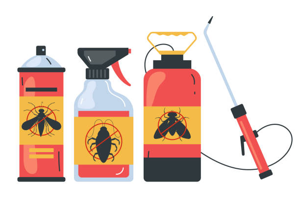 Best Flea Control Services  in Clayton, NM