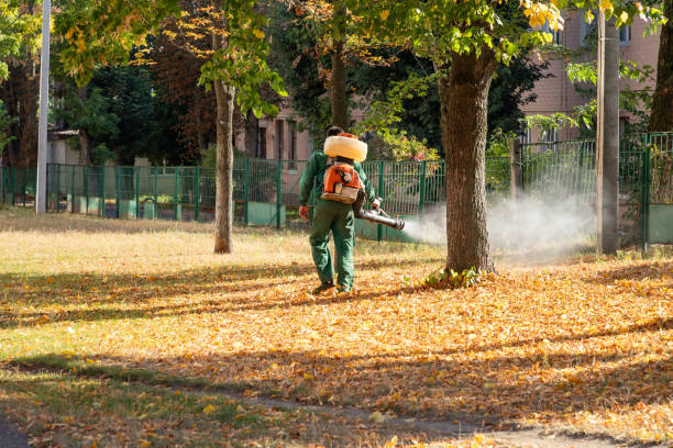 Best Pest Inspection Near Me  in Clayton, NM