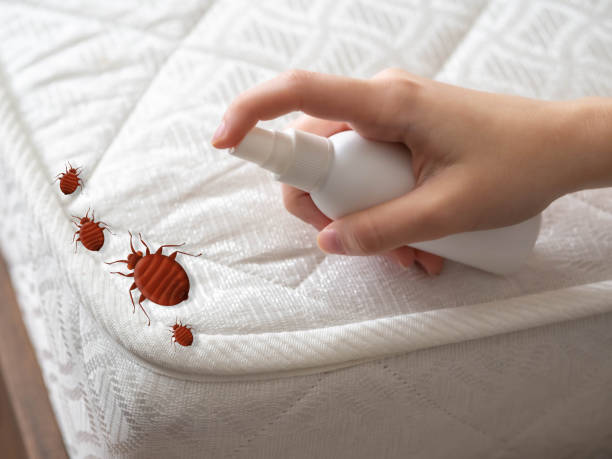 Best Residential Pest Control  in Clayton, NM